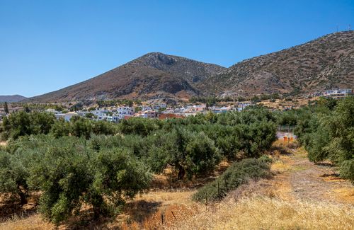 Free Picturesque rural town nestled between lush olive groves and rolling hills under a clear blue sky. Stock Photo
