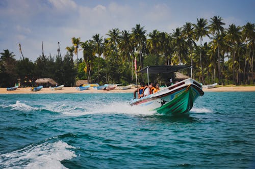 夏天, 帆船, 棕櫚樹 的 免費圖庫相片