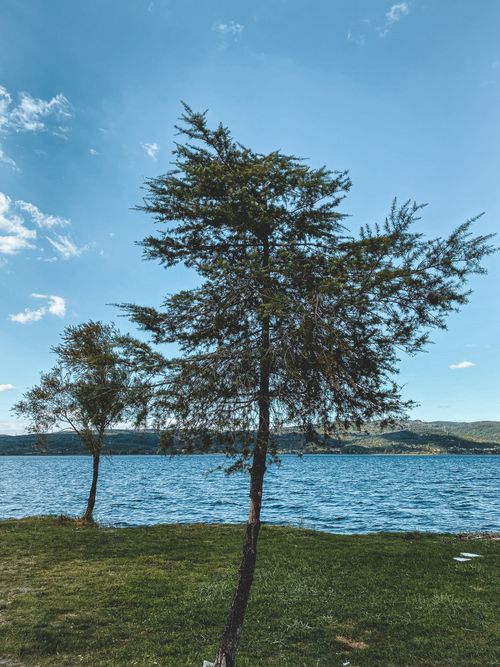 Free Peaceful landscape featuring a tree by a lake under a bright blue sky. Stock Photo
