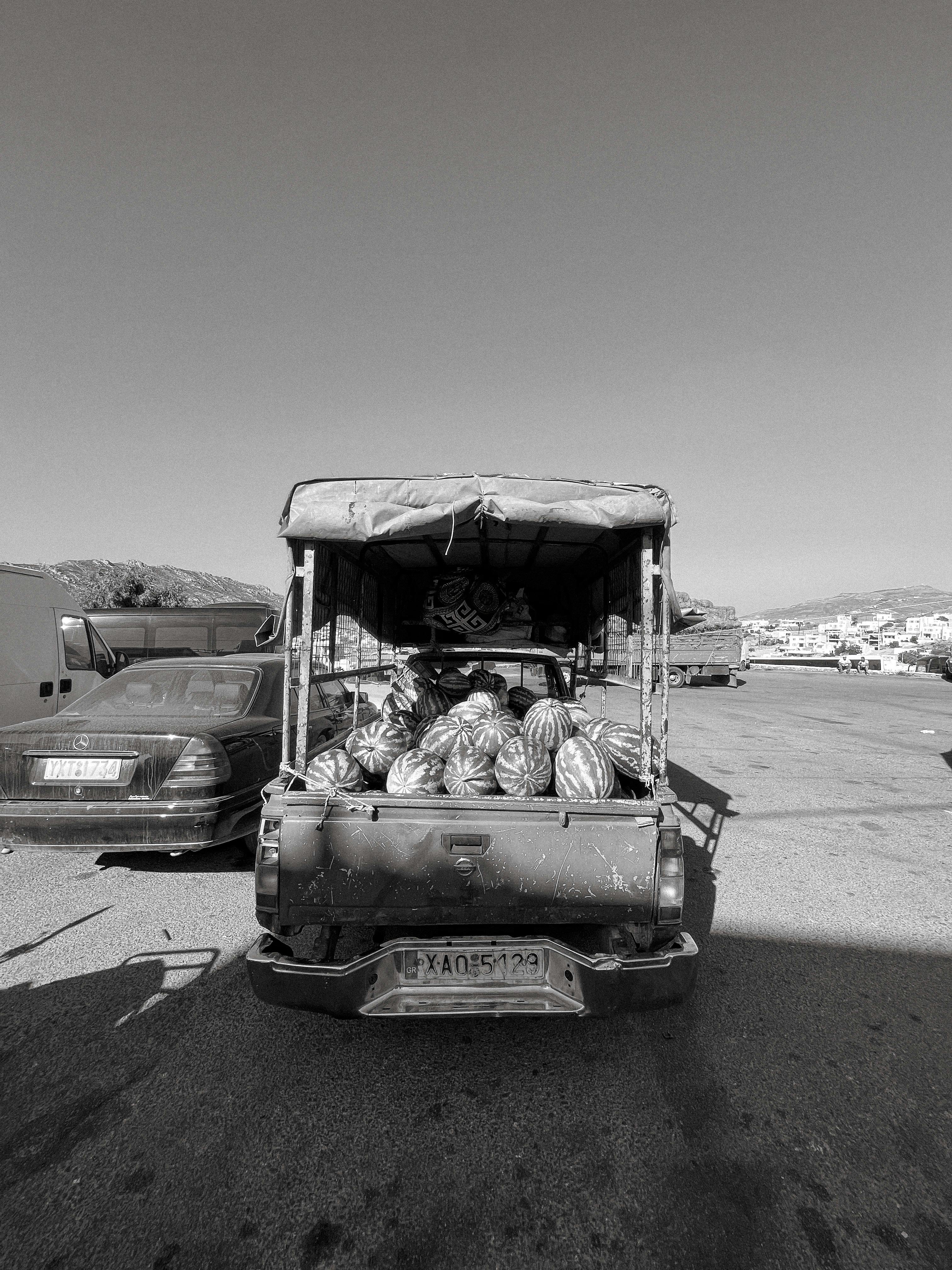 Eleanor Gann Photography