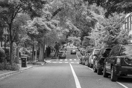 Grayscale Photo of Cars Parked on the Road