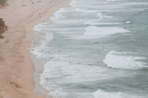 grátis Foto profissional grátis de areia, litoral, mar Foto profissional