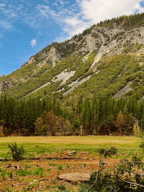 Free Green Trees Near Mountain Under Blue Sky Stock Photo