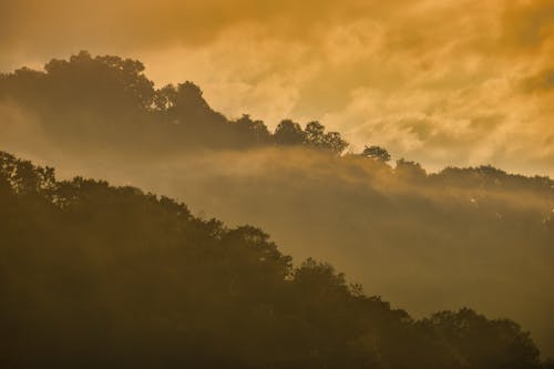 Kostnadsfri bild av atmosfäriskt humör, dimma, eterisk