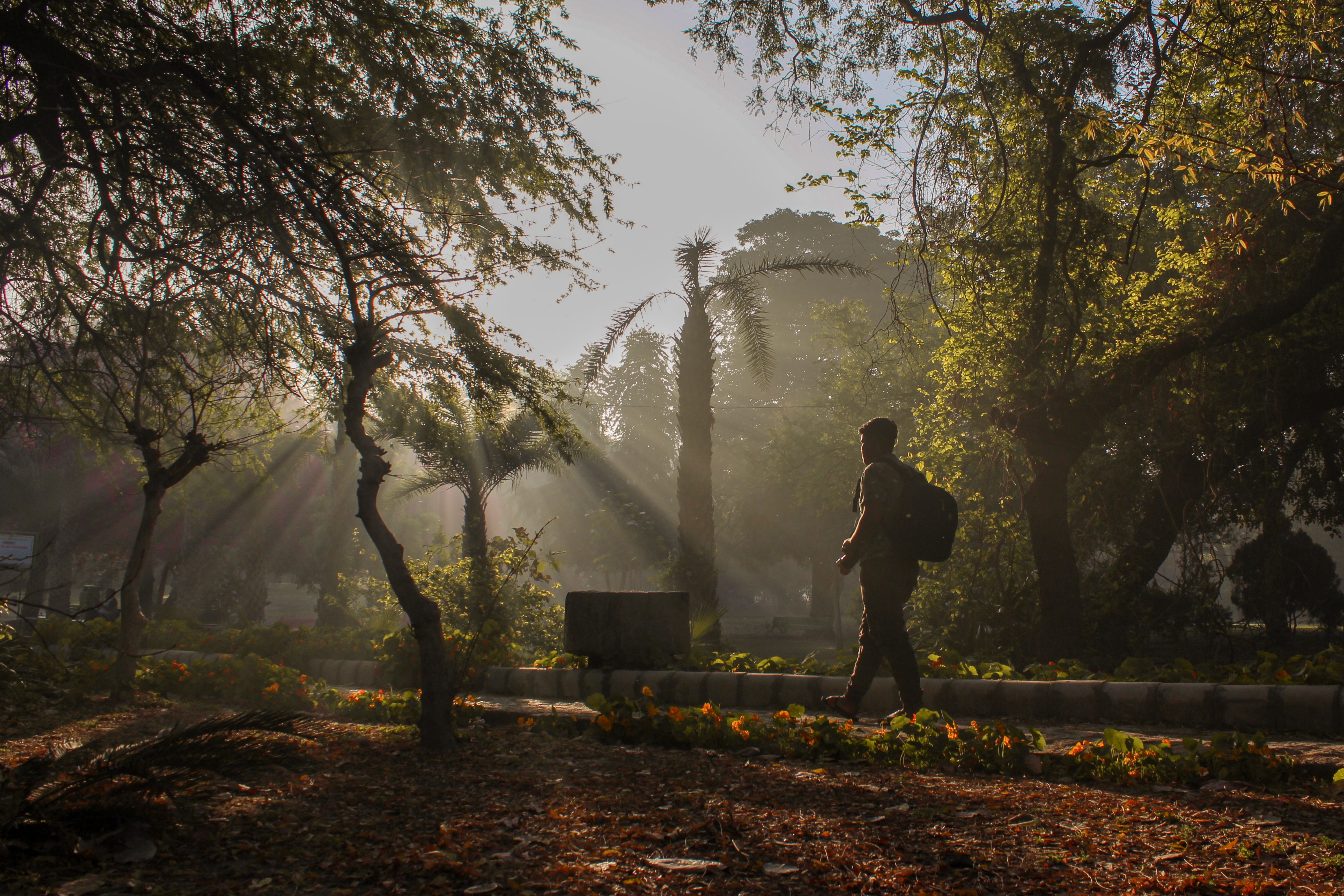 Lodhi Gardens sunrise walk