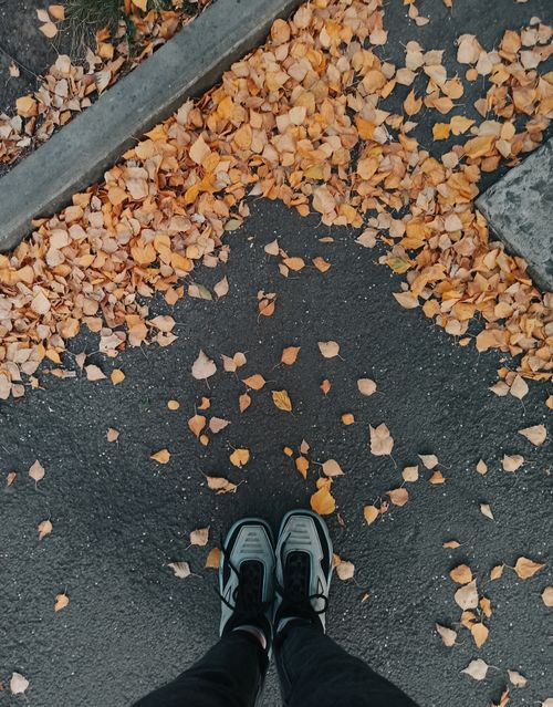 Free Aerial view of sneakers surrounded by dried autumn leaves on a pavement. Stock Photo