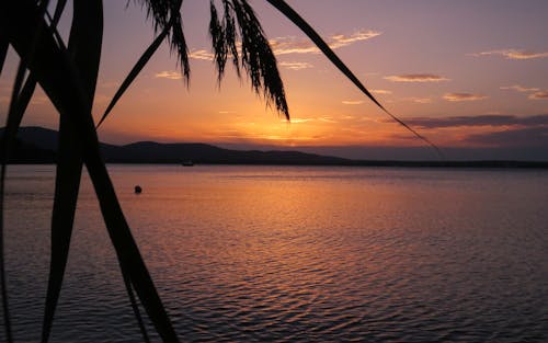 Ocean View During Sunset