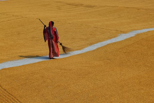 A Woman Sweeping the Grains on the Ground