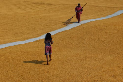 2 Person Sweeping the Farm Field