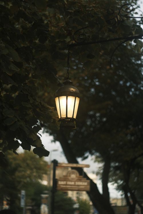 Free A glowing vintage streetlamp surrounded by lush green leaves during twilight in an outdoor setting. Stock Photo
