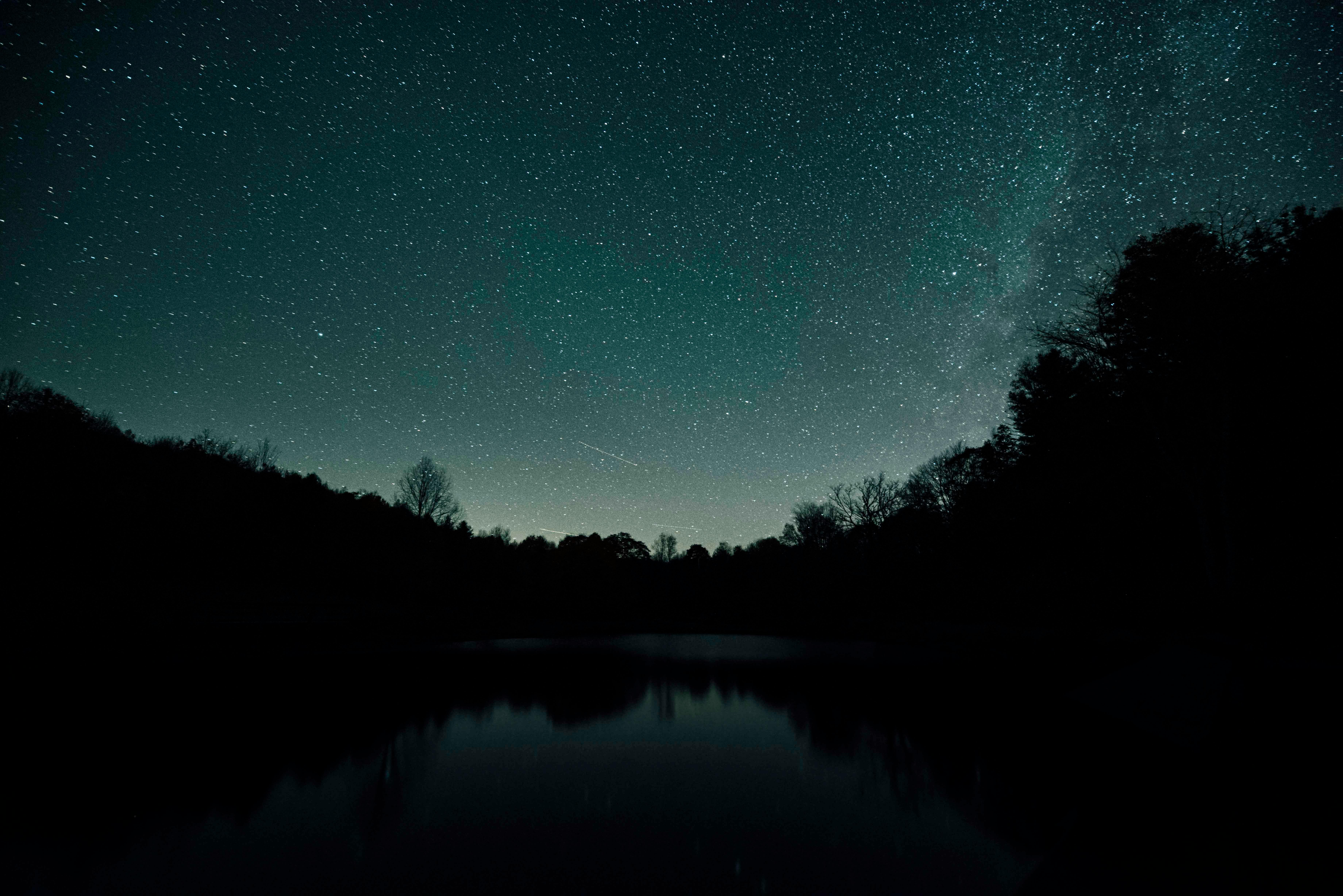 Silhouette of Trees During Night Time · Free Stock Photo