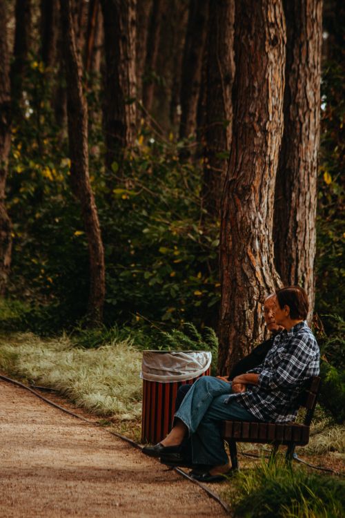 Free Serene scene of elderly couple enjoying nature on a park bench surrounded by tall trees. Stock Photo