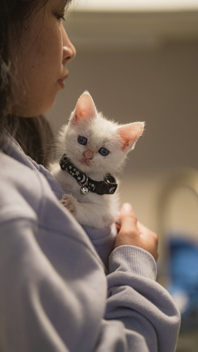 A Woman Holding Her Cat