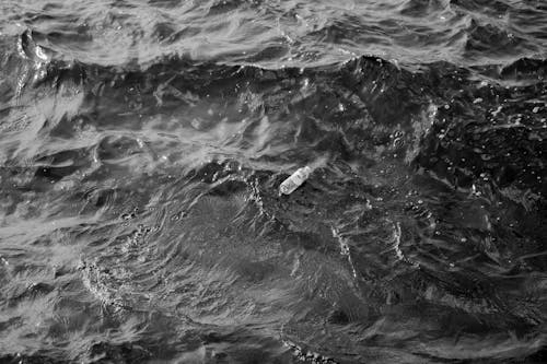 Ingyenes stockfotó fekete-fehér, műanyag palack, óceán témában