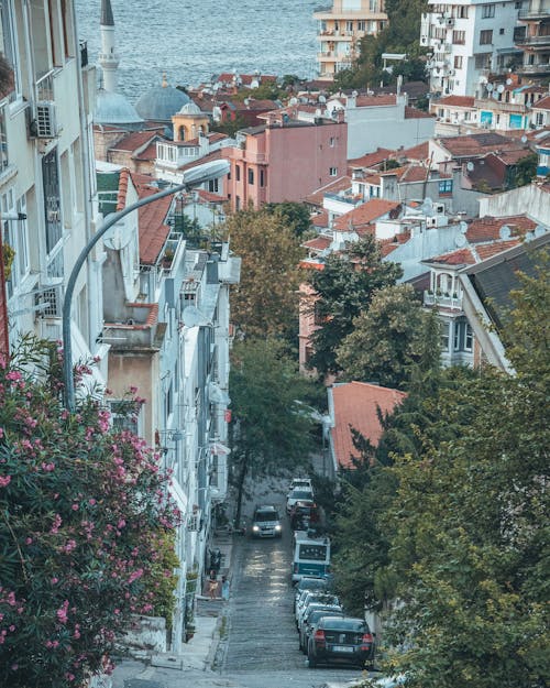 Motor Vehicles Parked on the Street