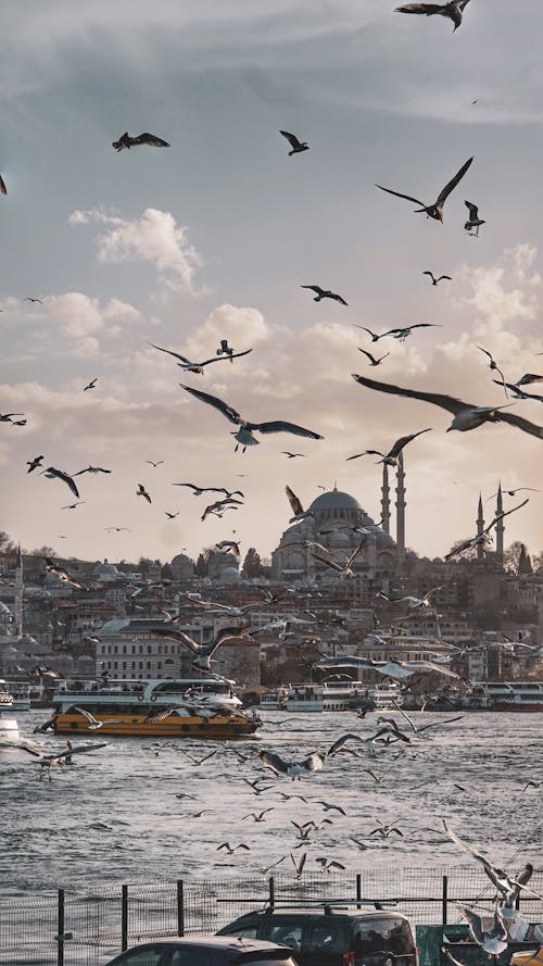 Gratis lagerfoto af berømt, bosphorus, bygninger