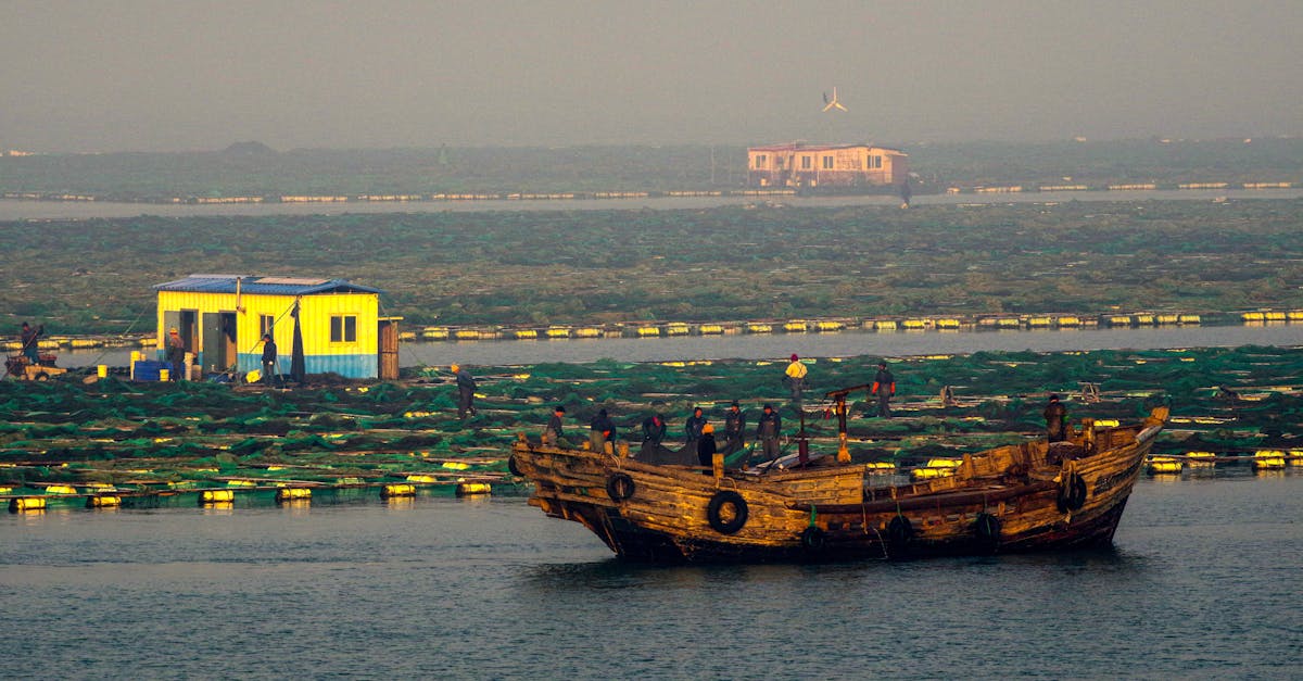 Essential Strategies for Beginner Stillwater Trout Fishing