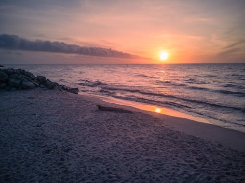 Free Photo of the Beach during Sunset Stock Photo
