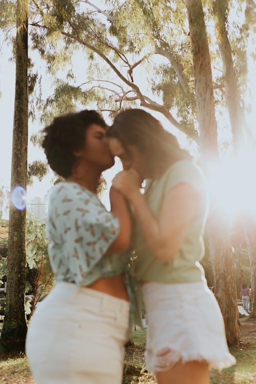 Back Lit Photo of Women in Park