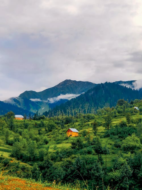 Imagine de stoc gratuită din fotografie cu natură, fotografiere verticală, în aer liber