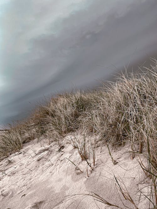 Δωρεάν στοκ φωτογραφιών με άμμος, Βαλτική θάλασσα, καταιγίδα
