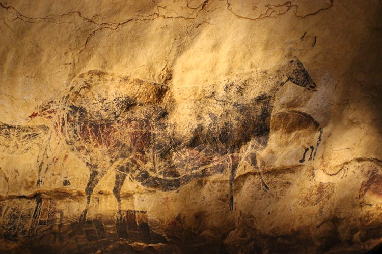 A Wall Painting At Lascaux Cave