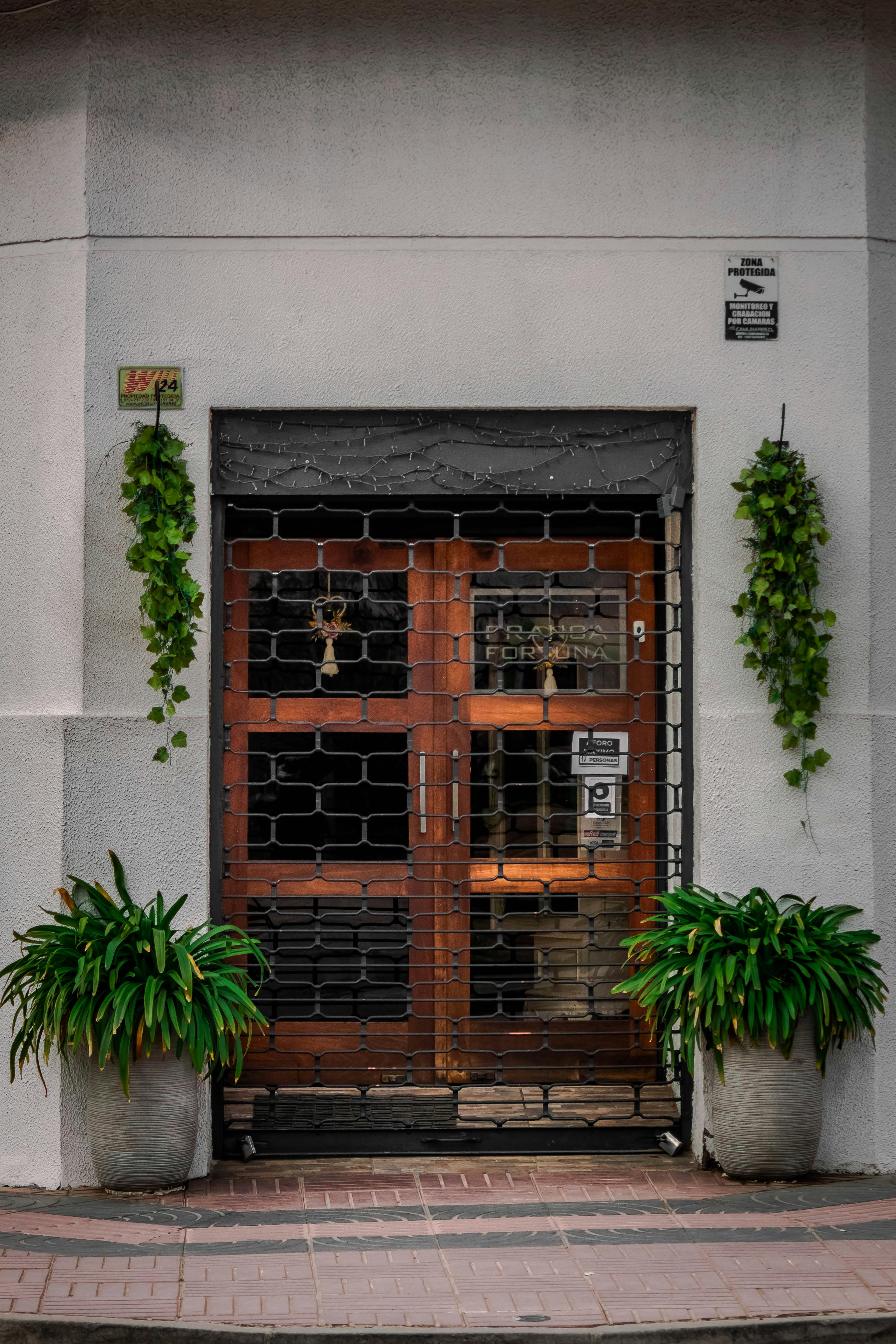 An inviting wooden entrance framed by lush green plants and vines, perfect for architectural themes.