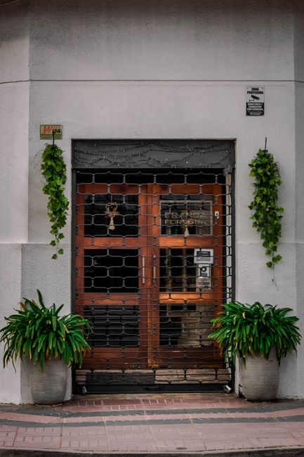 An inviting wooden entrance framed by lush green plants and vines, perfect for architectural themes.