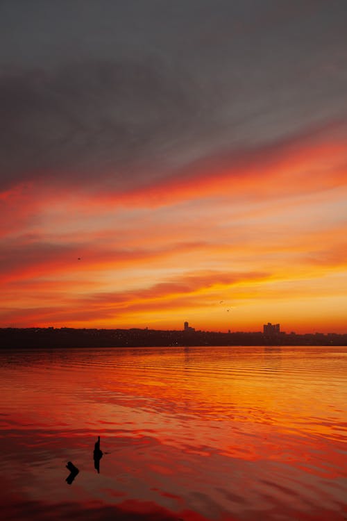 Gratis stockfoto met dramatisch, gouden uur, gouden zonsondergang