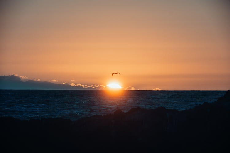 A Bird Flying Over The Sea During Sunrise