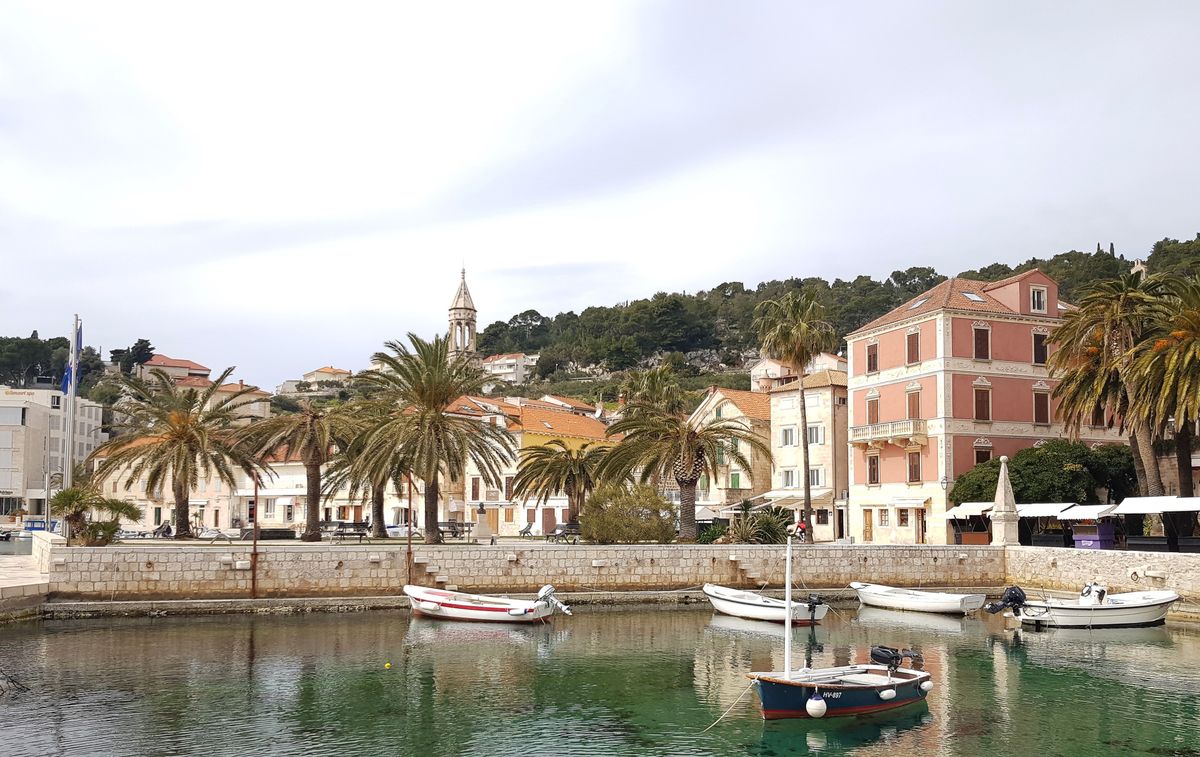 Hvar harbour with boats, historic buildings and palm trees along the waterfront
