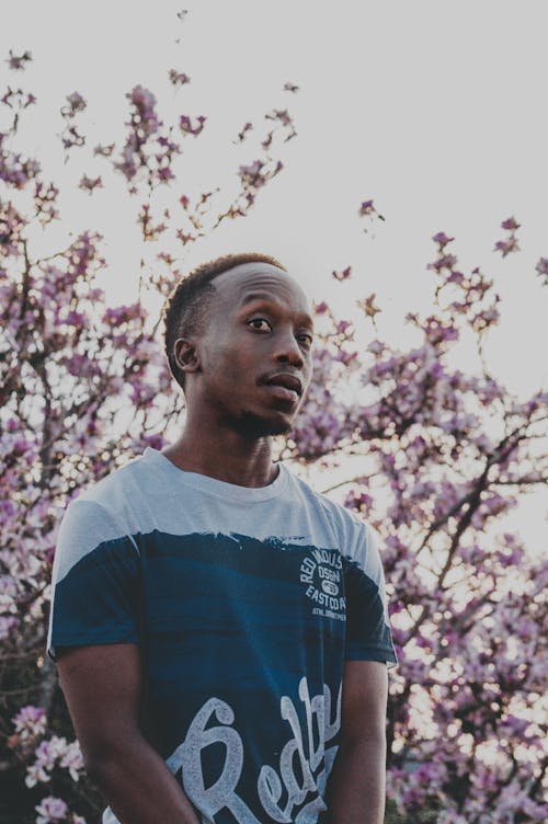 Free Man Wearing a Shirt Standing Near Flowering Tree Stock Photo