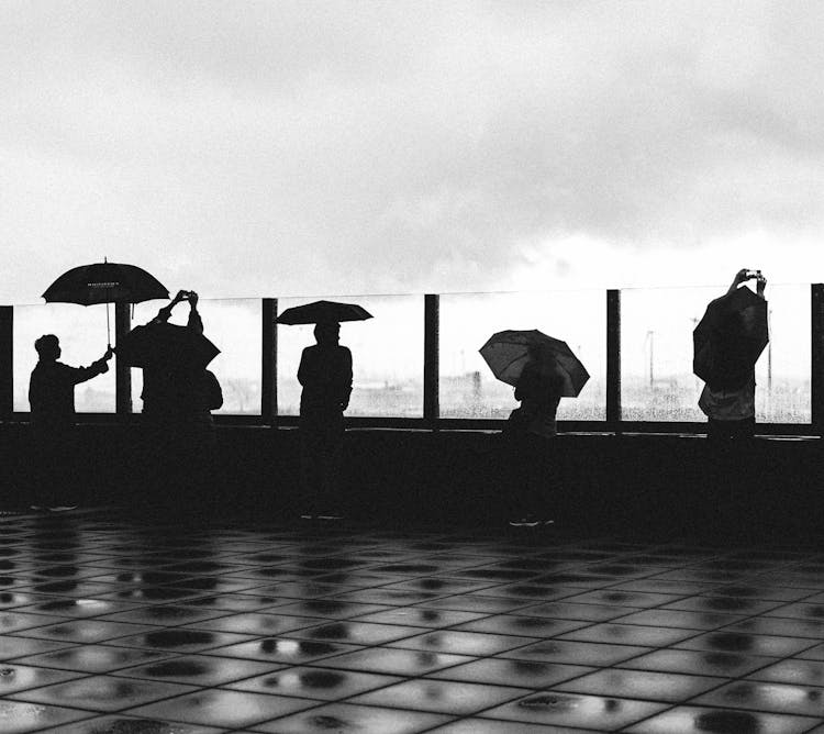 Black And White Photo Of Silhouettes Of People Holding Umbrellas