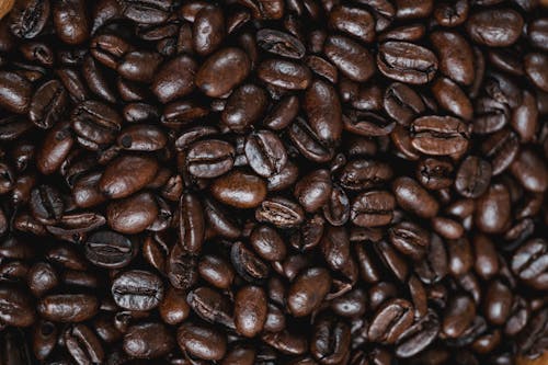 免費 全豆咖啡, 咖啡, 咖啡因 的 免費圖庫相片 圖庫相片