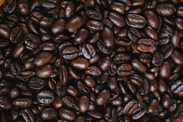 Close-up of freshly roasted coffee beans
