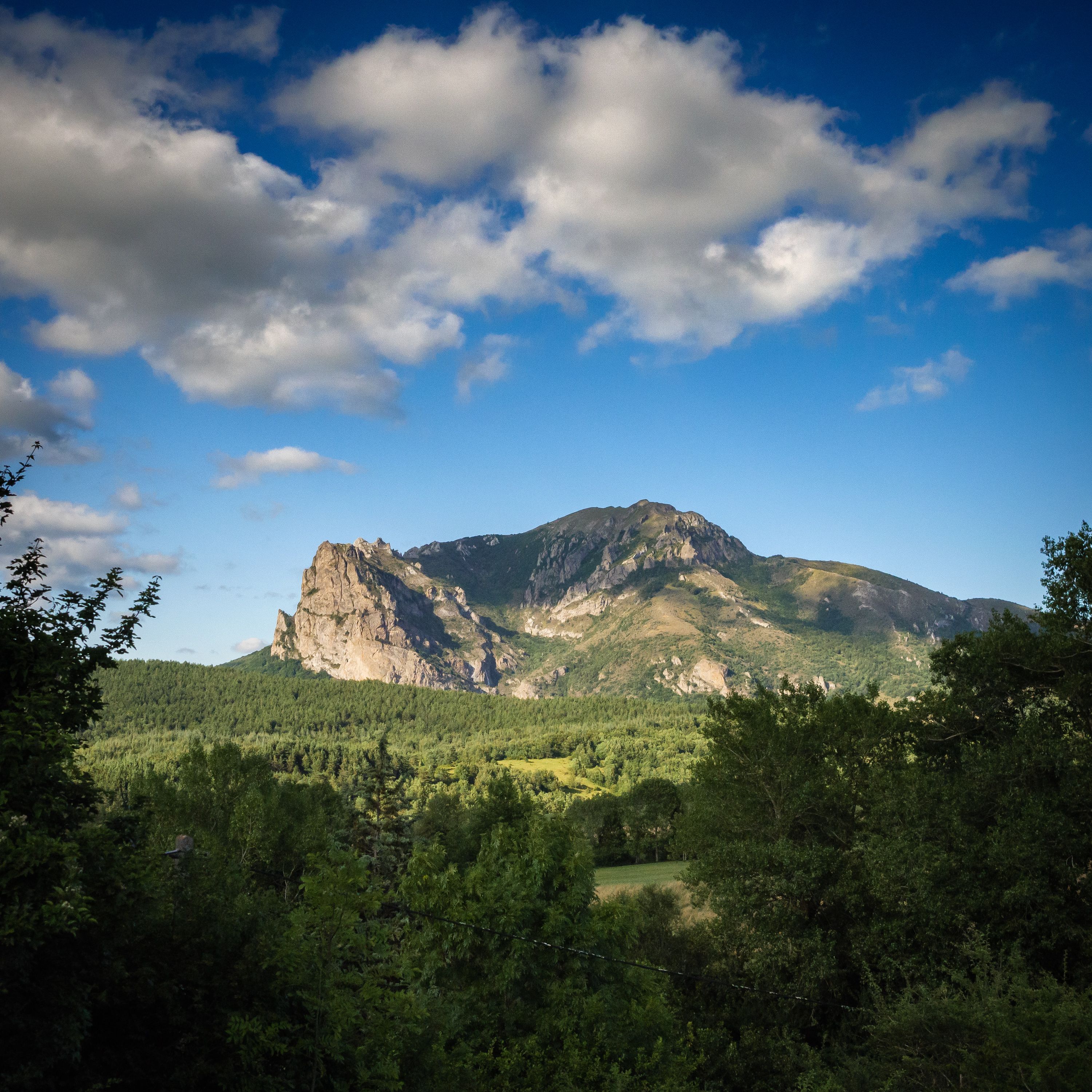 A Green Trees Near the Mountain Under the Blue Sky and White Clouds ...