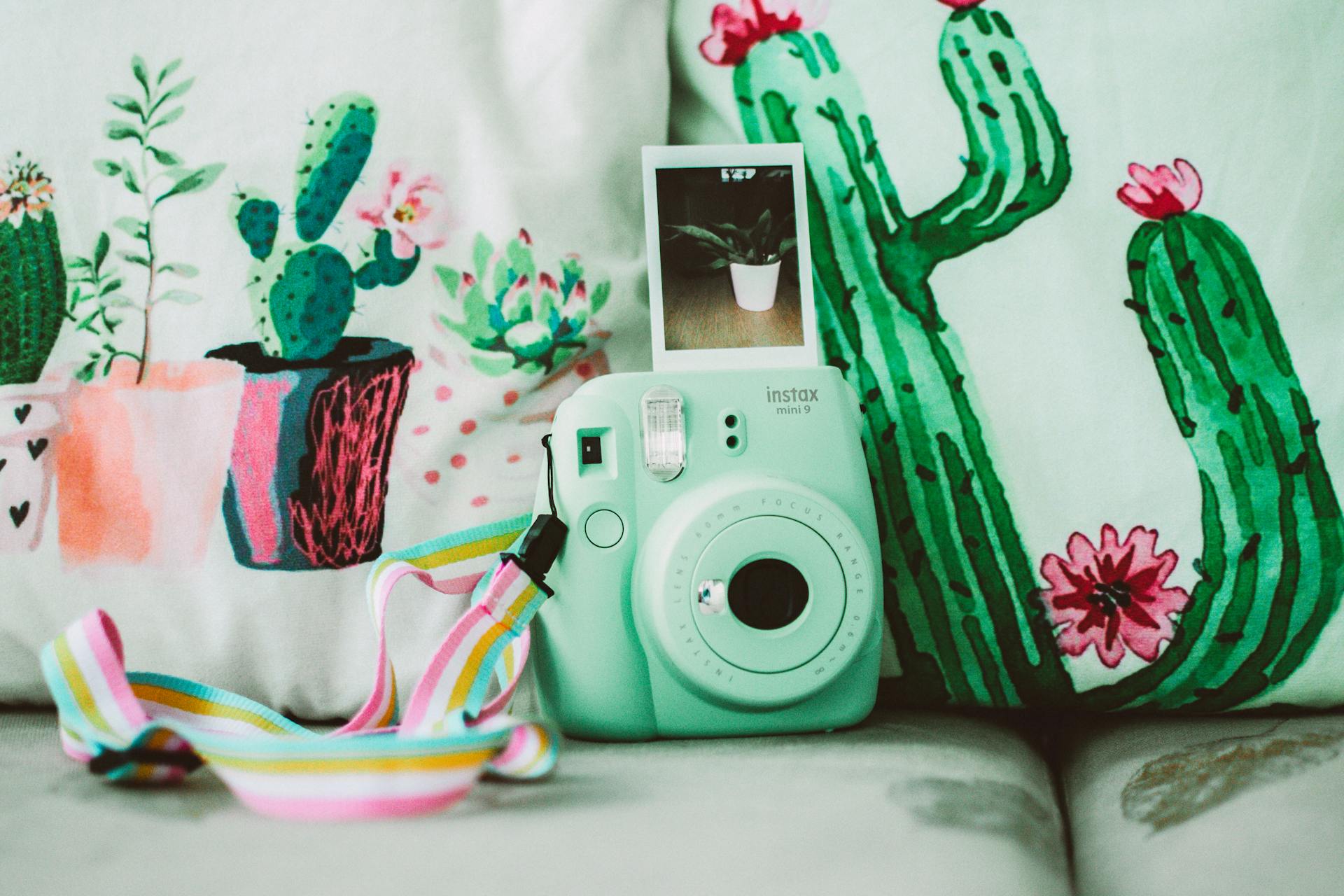 Green Instax Mini 8 Instant Camera Near Cactus Plant Printed Textiles