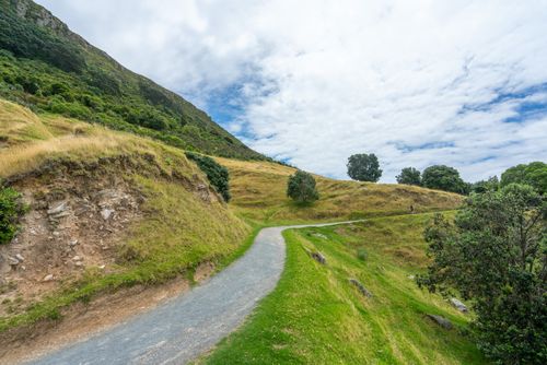 Free Explore the lush greenery and winding trail at Mount Maunganui, Bay of Plenty, New Zealand. Stock Photo