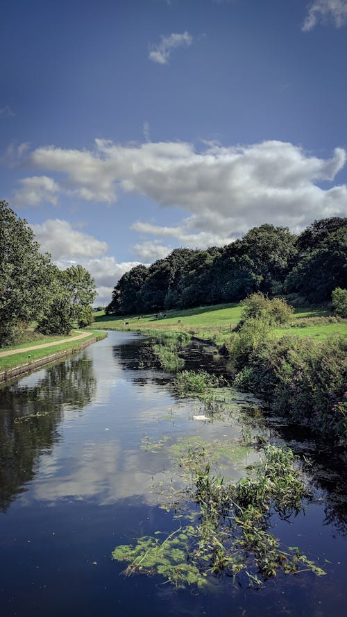 Foto d'estoc gratuïta de aigua, aigües interiors, canal