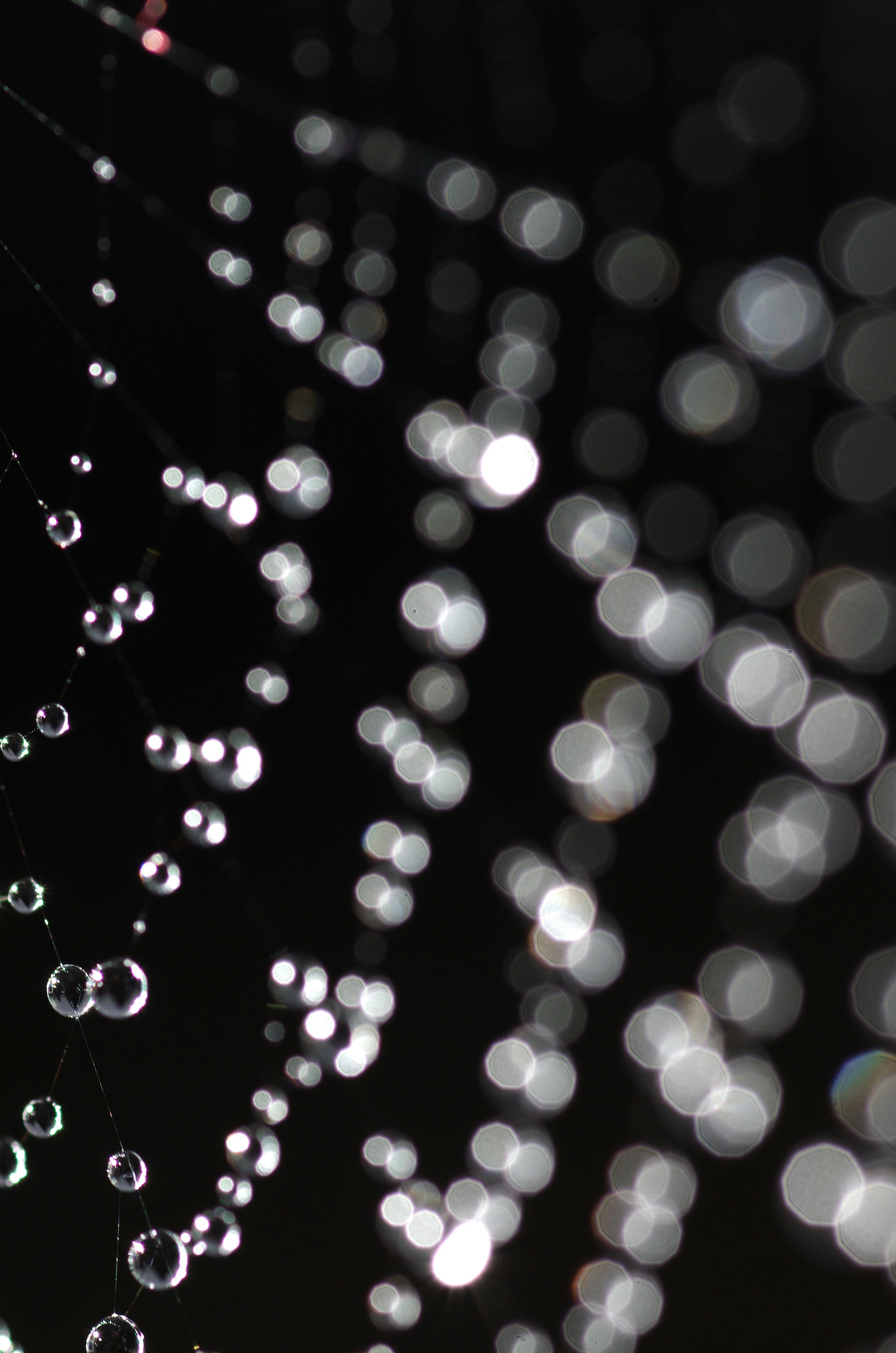 Concrete driveway project