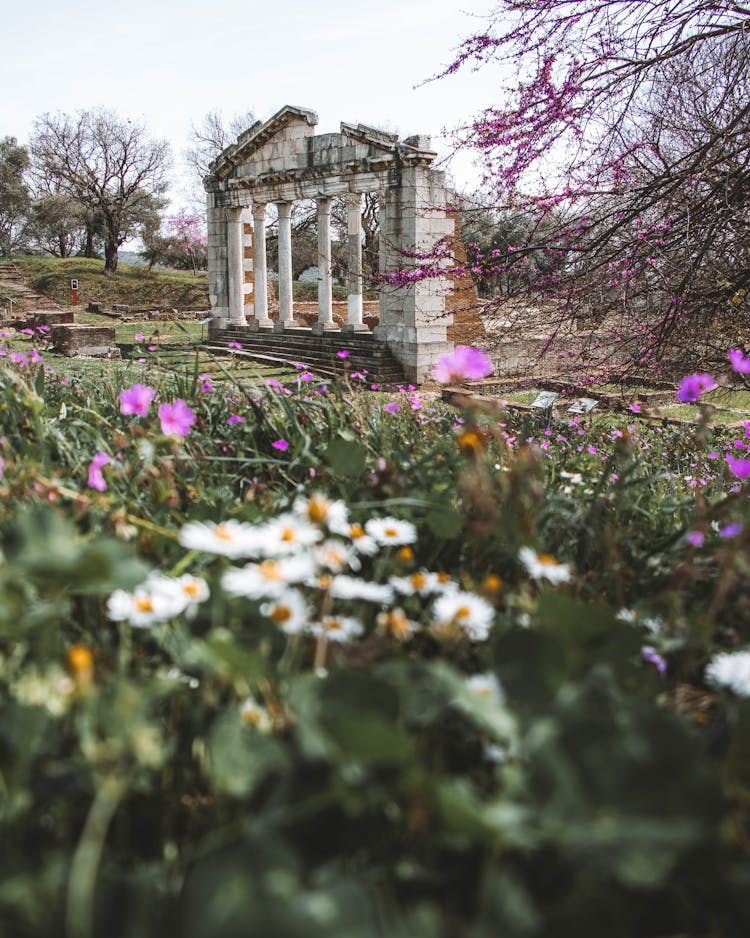 Antique Ruin In A Spring Garden