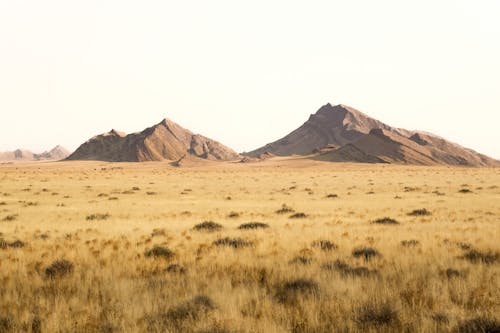 Brown Grass Field near Brown Mountains under the White Sky