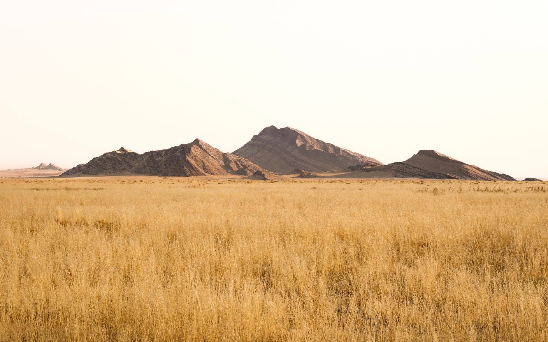 Golden grasslands with distant mountains in Solitaire, Namibia. Captures the serene beauty of the African savannah.