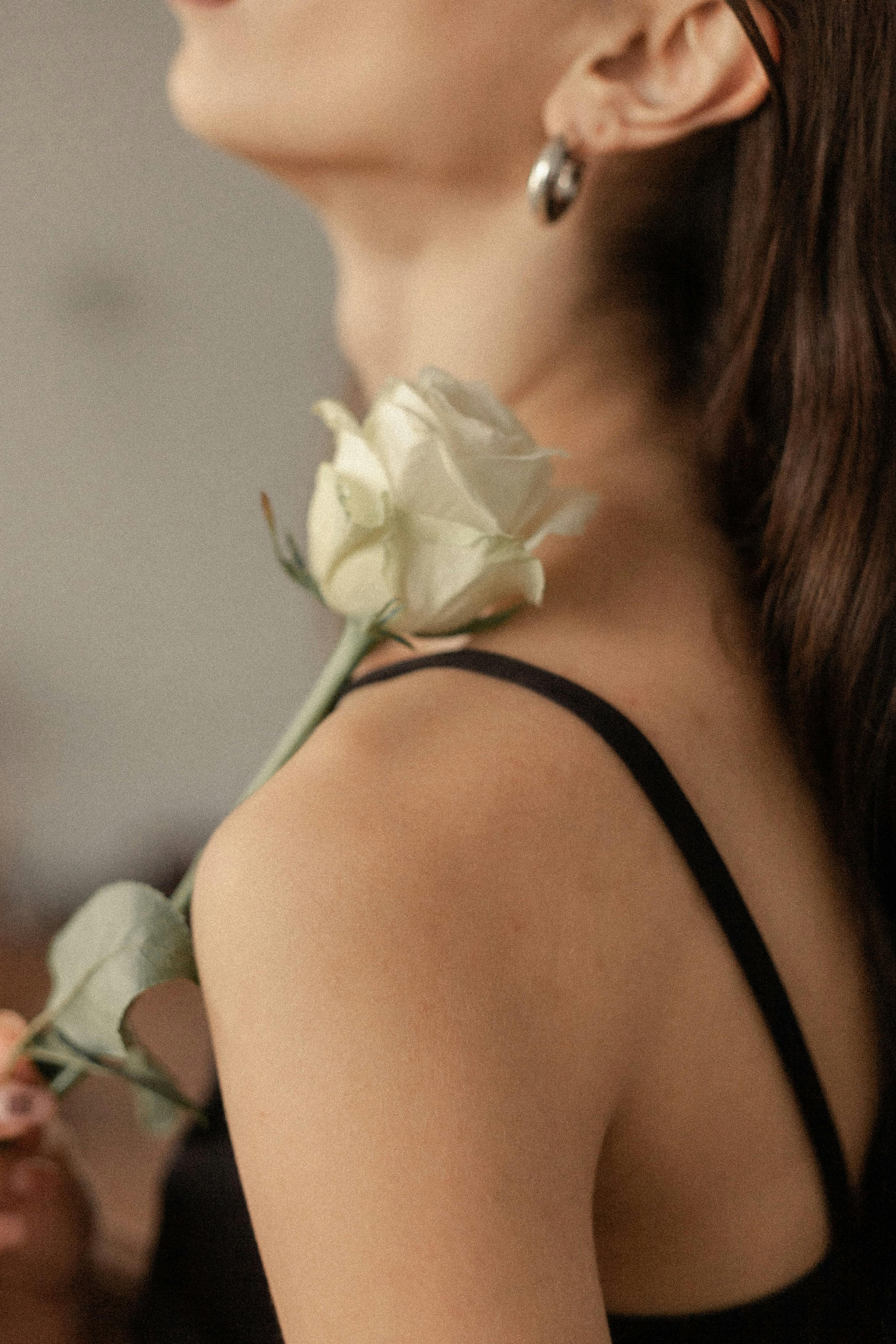 Zadarmo Fotobanka s bezplatnými fotkami na tému amulet, beauty shot, biela ruža Fotka z fotobanky