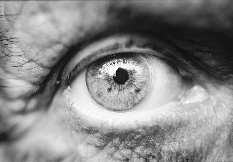 Grayscale Photo Of A Human Eye