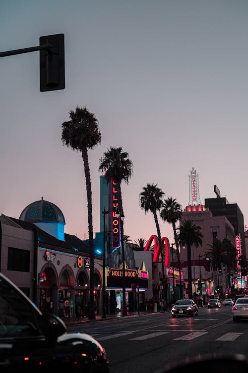 hollywood boulevard night