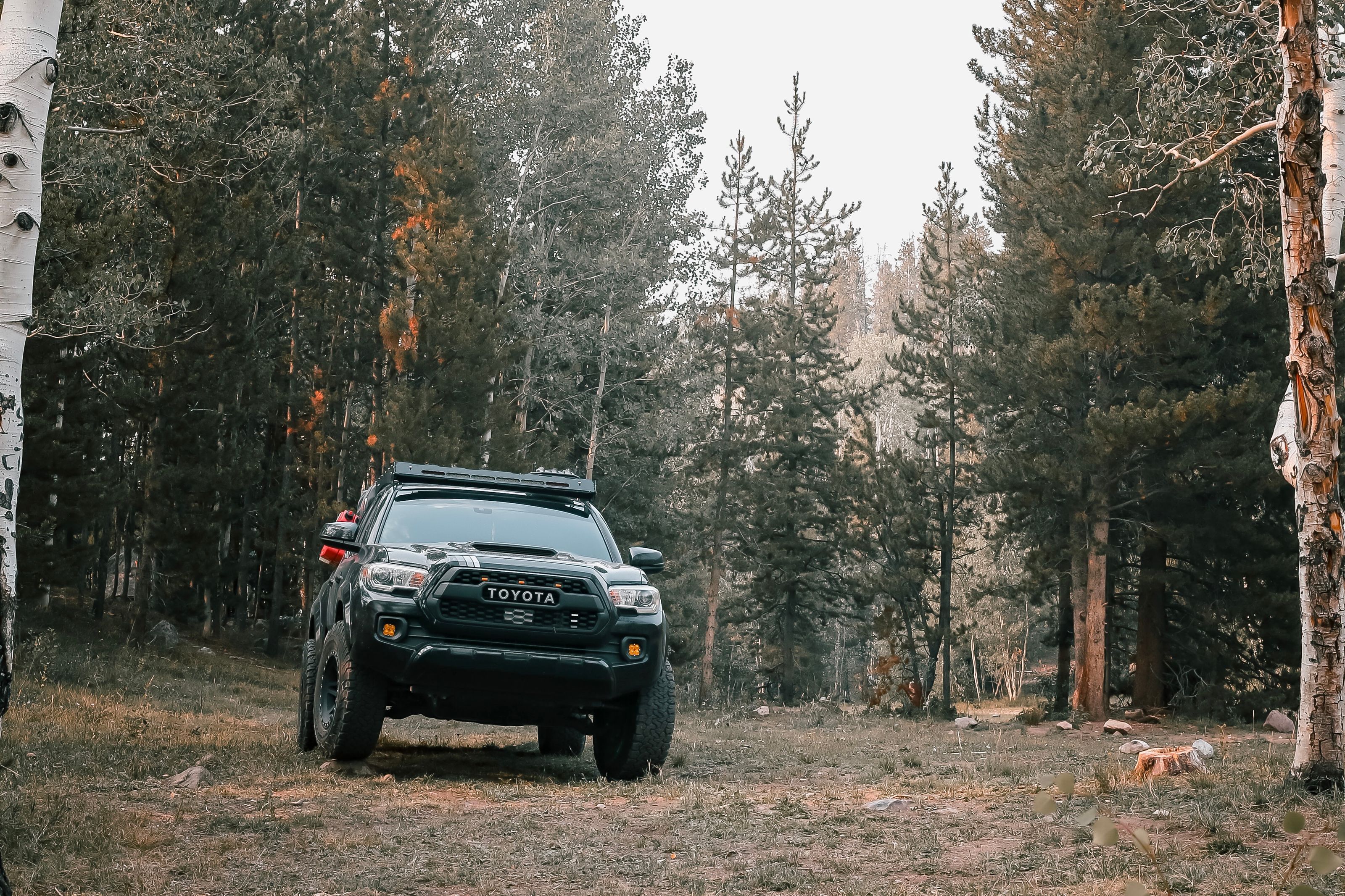 A black Toyota Tacoma pickup truck parked in a serene forest landscape.