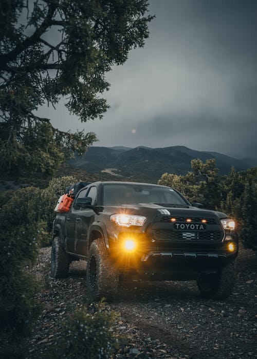 A Black Pick Up Truck on Mountain Near the Trees