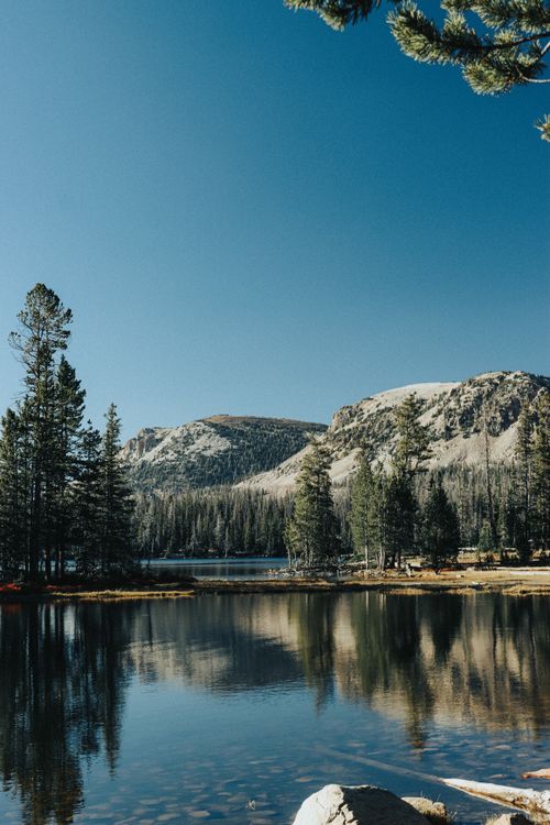 Free Serene mountain lake reflecting pine trees and clear sky, untouched nature at its best. Stock Photo
