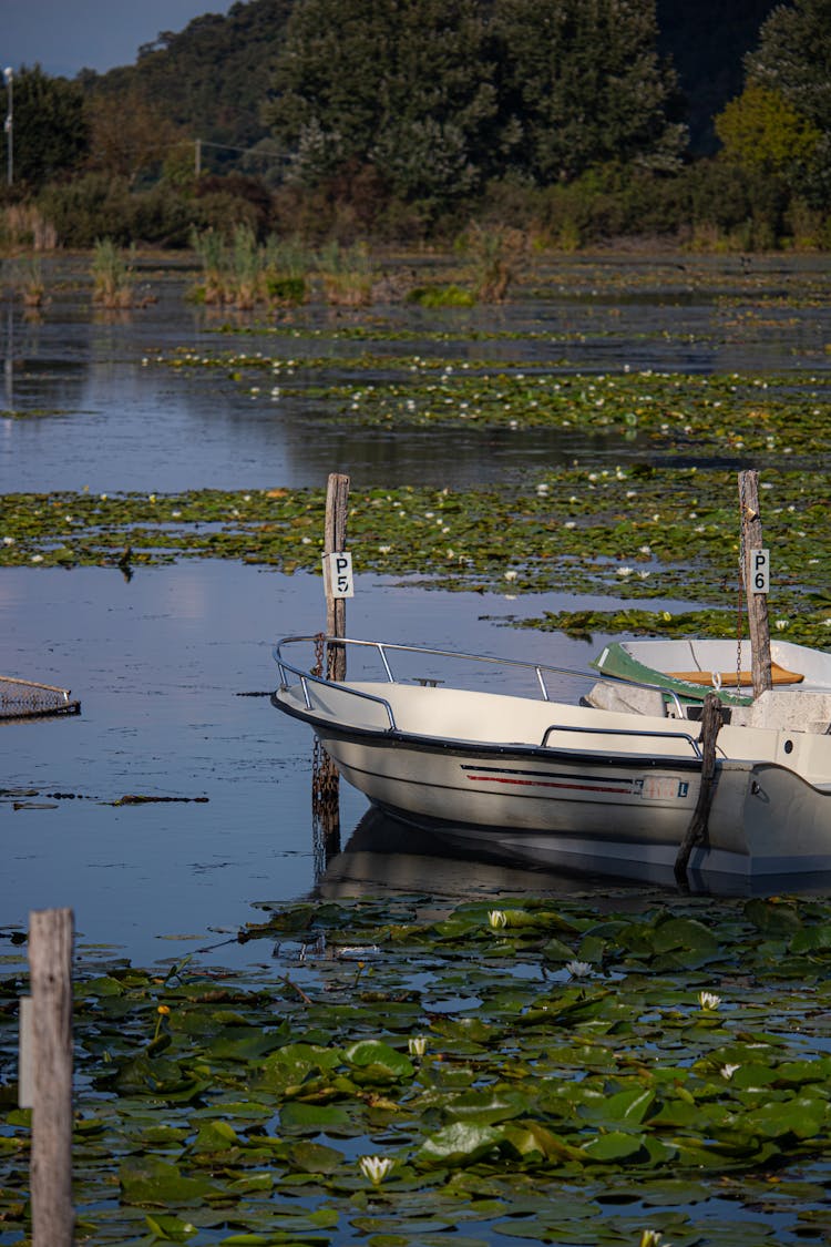 White Boat On The Lake